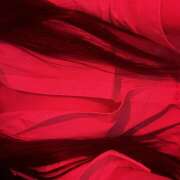 ヒメ日記 2025/05/28 21:57 投稿 みれい 神田はっち