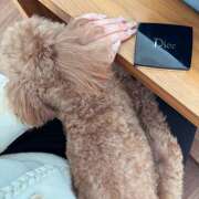 ヒメ日記 2026/01/03 18:55 投稿 みれい 神田はっち