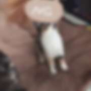 ヒメ日記 2025/08/08 13:07 投稿 るり ふわふわコレクション