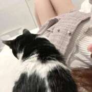 ヒメ日記 2025/12/18 21:34 投稿 るり ふわふわコレクション