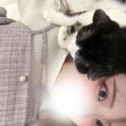 ヒメ日記 2026/01/04 19:34 投稿 るり ふわふわコレクション