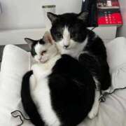 ヒメ日記 2026/04/02 21:24 投稿 るり ふわふわコレクション