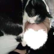 ヒメ日記 2026/04/06 13:50 投稿 るり ふわふわコレクション