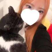 ヒメ日記 2026/04/14 06:44 投稿 るり ふわふわコレクション