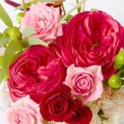 ヒメ日記 2025/06/06 19:59 投稿 りむ ダイスキ