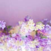 ヒメ日記 2025/06/10 10:06 投稿 りむ ダイスキ