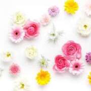 ヒメ日記 2025/08/04 11:11 投稿 りむ ダイスキ