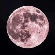 ヒメ日記 2025/09/11 22:31 投稿 ぴの☆経験極少美尻娘 じゃむじゃむ