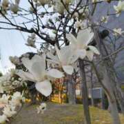 水谷　とうり おはよ～ございます(^^) エテルナ京都