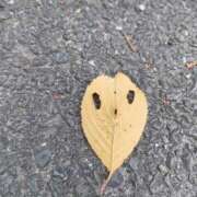 ヒメ日記 2025/12/18 09:41 投稿 坂根 熟女の部屋