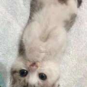 ヒメ日記 2025/09/02 08:16 投稿 架純 久留米デリヘルセンター