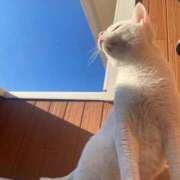 ヒメ日記 2025/12/22 19:16 投稿 架純 久留米デリヘルセンター