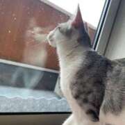 ヒメ日記 2026/01/24 02:36 投稿 架純 久留米デリヘルセンター