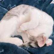 ヒメ日記 2026/02/06 01:26 投稿 架純 久留米デリヘルセンター