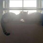 ヒメ日記 2026/02/20 23:46 投稿 架純 久留米デリヘルセンター