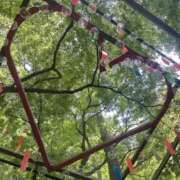 ヒメ日記 2026/03/05 21:50 投稿 架純 久留米デリヘルセンター