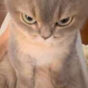 にじほ【清楚でエッチな敏感娘】 久しぶりのしゅ💖 STELLA TOKYO－ステラトウキョウ－