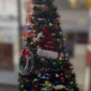 ヒメ日記 2025/12/14 00:35 投稿 りりむ 新大阪秘密倶楽部