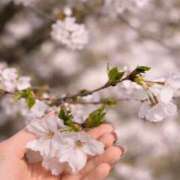 ヒメ日記 2026/04/06 06:15 投稿 りりむ 新大阪秘密倶楽部