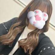 ヒメ日記 2025/09/30 23:17 投稿 南【新人】 Minx（ミンクス）