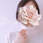 ヒメ日記 2025/05/30 14:01 投稿 さゆり ミセス クリエーション