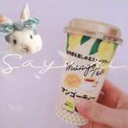 ヒメ日記 2025/06/06 14:55 投稿 さゆり ミセス クリエーション