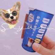 ヒメ日記 2025/11/09 14:50 投稿 さゆり ミセス クリエーション