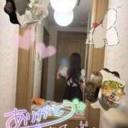 ヒメ日記 2025/12/17 14:50 投稿 ゆうな スピードエコ天王寺店