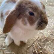 ヒメ日記 2025/06/04 21:02 投稿 地元/なつき セレブクエスト－Iwaki－