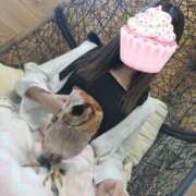 ヒメ日記 2025/07/28 06:58 投稿 西野 りか こあくまな人妻・熟女たち山口店（KOAKUMAグループ）