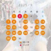 ヒメ日記 2025/08/26 20:51 投稿 めい☆ 粋美　suibi