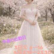 ヒメ日記 2026/03/06 17:19 投稿 えり CELEB FACE FUKUOKA