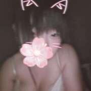 ヒメ日記 2025/08/16 08:01 投稿 みみ 激安ドットコム