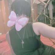 ヒメ日記 2025/08/20 19:01 投稿 みみ 激安ドットコム