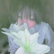 ヒメ日記 2025/09/01 20:50 投稿 みみ 激安ドットコム