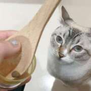 ヒメ日記 2026/02/20 15:45 投稿 みみ 激安ドットコム