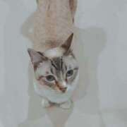 ヒメ日記 2026/03/05 00:45 投稿 みみ 激安ドットコム