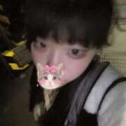 みみ 22時まで✨ 激安ドットコム