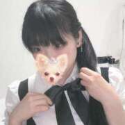 みみ 17時からいます✨ 激安ドットコム