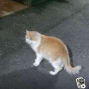 ヒメ日記 2026/05/07 10:31 投稿 みみ 激安ドットコム