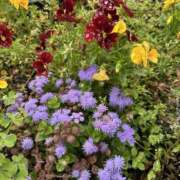 ヒメ日記 2025/06/10 10:02 投稿 赤井 イキなり生不倫 小田原店