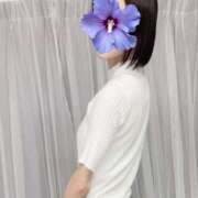 ヒメ日記 2025/08/13 16:48 投稿 まつり 品川ミセスアロマ（ユメオト）