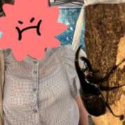 るり ひさしぶりの平日 上野ハンドメイド