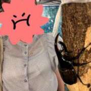 るり ひさしぶりの平日 神田ハンドメイド