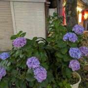 ヒメ日記 2025/06/13 13:57 投稿 松村（まつむら） 不倫快感