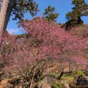 ヒメ日記 2026/01/17 18:27 投稿 松村（まつむら） 不倫快感