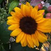 ヒメ日記 2025/08/13 11:13 投稿 ゆずき 仙南 愛ランド（白石、柴田、岩沼、名取）