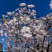 ヒメ日記 2026/04/17 14:14 投稿 ゆずき 仙南 愛ランド（白石、柴田、岩沼、名取）