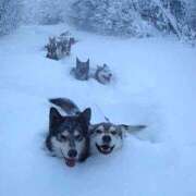 ヒメ日記 2025/07/09 13:40 投稿 東山かのん 五十路マダムエクスプレス神戸店(カサブランカグループ)