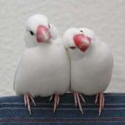 ヒメ日記 2025/07/23 21:30 投稿 東山かのん 五十路マダムエクスプレス神戸店(カサブランカグループ)